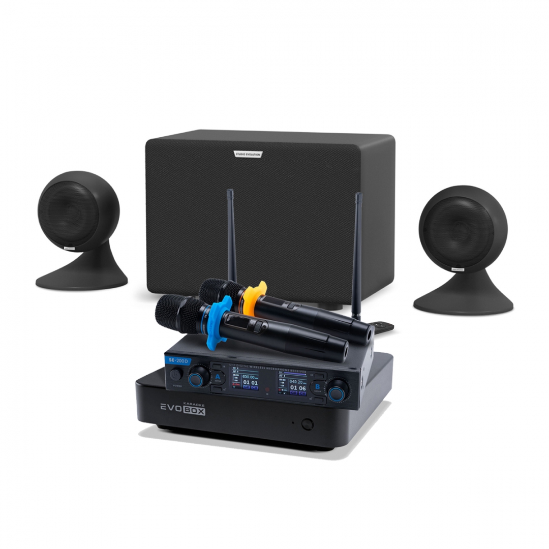 караоке-комплект EVOBOX + EvoSound Sphere 2.1 в Красноармейске