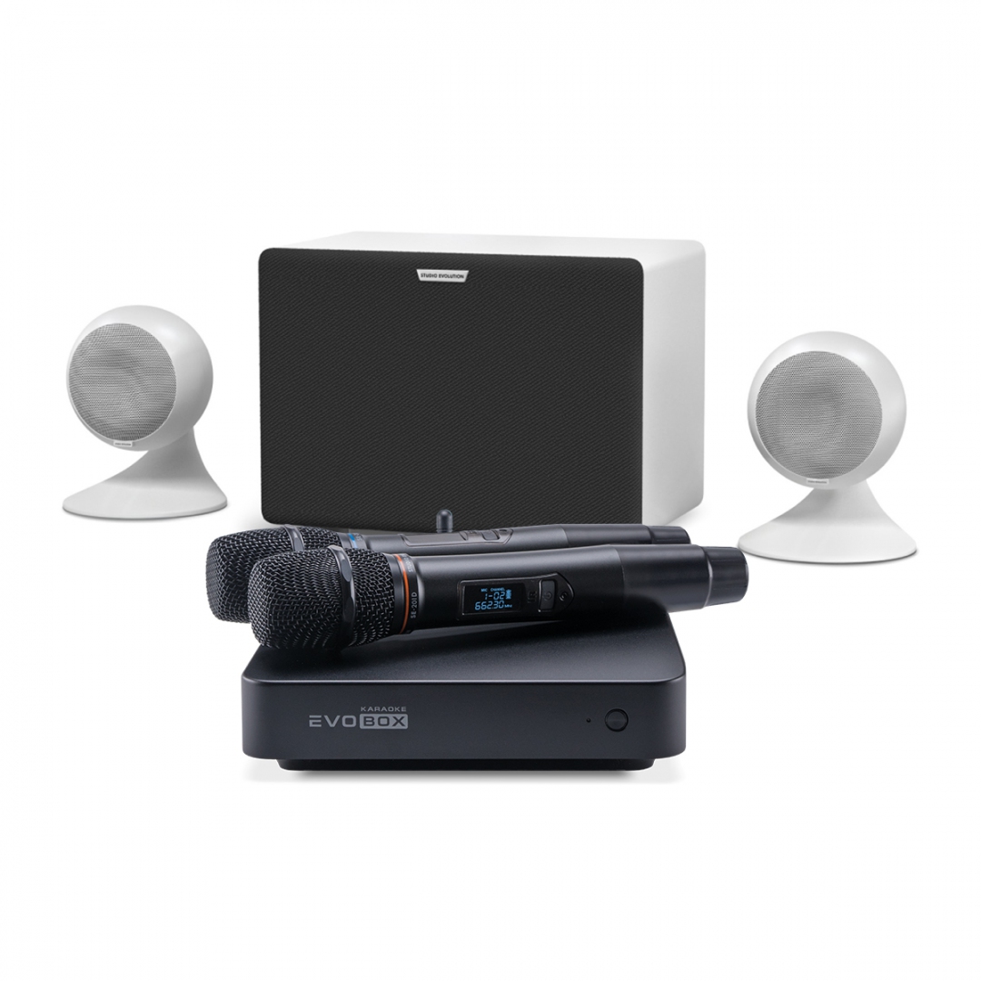 караоке-комплект EVOBOX Classic + EvoSound Sphere 2.1 в Красноармейске