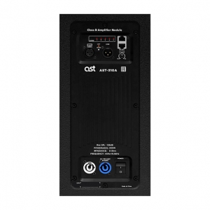 Активная акустическая система AST-310A в Красноармейске