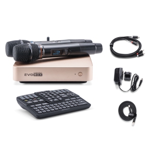 EVOBOX Classic караоке-система для дома в Красноармейске