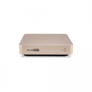 EVOBOX с микрофонами в Красноармейске